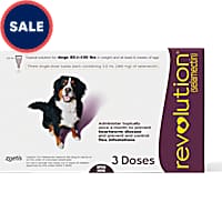 Revolution Topical Solution for Dogs 85-130 lbs