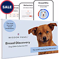 Wisdom Panel 3.0 Breed Identification Dog DNA Test Kit