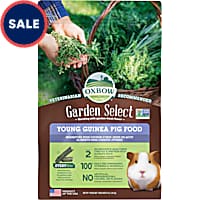 Guinea Pig Food Hay Petco