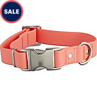 Puppy & Dog Collars  Pet Accessories Online – colette by colette