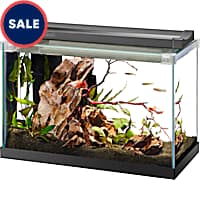 Dollar gallon sale petco top