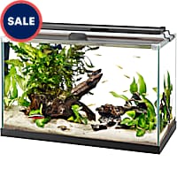 Curved Glass Aquarium Tank – 22 cm (22 x 15 x 17) - Splashy Fin