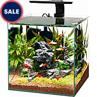 Dollar a gallon sale at petco plus $10 off purchase of $30 or more. :  r/PlantedTank