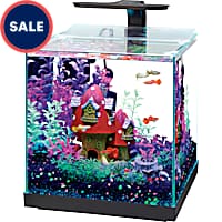 Petco 50% Off Sale (formerly Dollar Per Gallon Sale) - Regional  Conventions, Clubs and Stores 