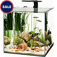Breeder tank petco discount