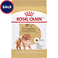 Royal Canin Breed Health Nutrition Pomeranian Adult Dry Dog Food