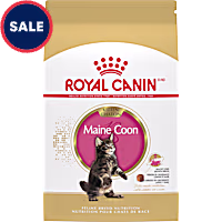 Royal Canin Feline Breed Nutrition Maine Coon Kitten Dry Cat Food