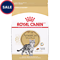 Royal Canin Feline Breed Nutrition American Shorthair Adult Dry Cat Food