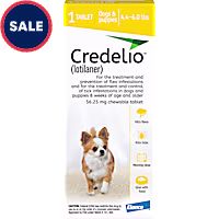 Credelio Chewable Tablet for Dogs 4.4-6 lbs