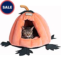 Halloween cat bed clearance