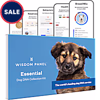 Wisdom Panel Essential Dog DNA Test Kit