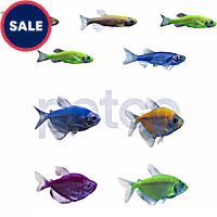GloFish 10G Community Collection