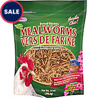 Brown's Garden Chic! Dried Mealworms for Birds