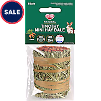 Kaytee Field+Forest Carrot Mini Hay Bale