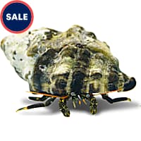 Live Invertebrates for Sale Freshwater Saltwater Petco