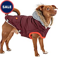 Petco coats discount