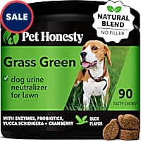 Pet Honesty Grass Green Soft Chews for Dogs