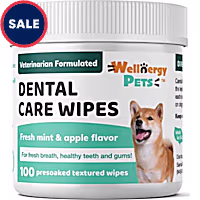 Wellnergy Pets Dental Care Wipes for Dogs