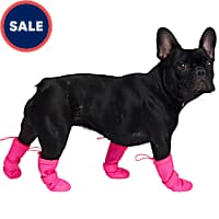 Non slip dog socks petco new arrivals