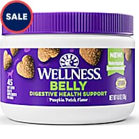 Wellness Pumpkin Patch Flavored Soft Chew Digestive Health Supplements for Dogs