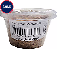 Live Insects Mealworms