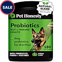 Pet Honesty Probiotics Gut + Immune Pumpkin Soft Chews for Dogs