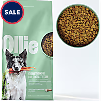 Ollie Baked Chicken Dish with Carrots Dry Dog Food