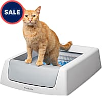 Cat litter electric top