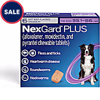 NexGard Plus Flea and Tick Protection Plus Heartworm Disease Preventive for Dogs 33.1 - 66 lbs. (Purple)