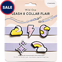 Wild One Leash and Collar Flair in Dream
