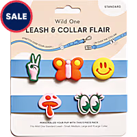 Wild One Leash and Collar Flair in Groovy