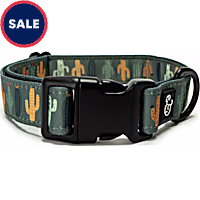 Lucy & Co. The Looking Sharp Dog Collar