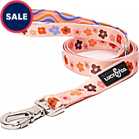 Lucy & Co. The Let's Groove Dog Leash