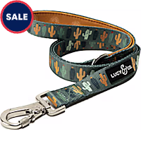Lucy & Co. The Looking Sharp Dog Leash