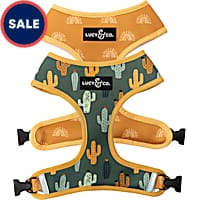 Lucy & Co. The Looking Sharp Reversible Dog Harness