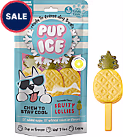 Pup Ice Fruity Lollies Pineapple Treats for Dogs
