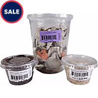 Live Insects Large/Adult Tree Frog Feeder Bundle