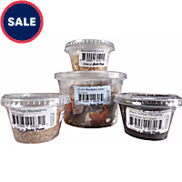 Live Insects Juvenile Leopard Gecko Feeder Bundle