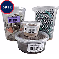 Live Insects Adult Bearded Dragon Feeder Bundle