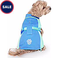 Puppy Training Petco Dogs For Sale Near Me Petco Puppy Playtime