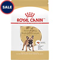 Royal Canin Breed Health Nutrition French Bulldog Adult Dry Dog Food