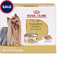 Royal Canin Breed Health Nutrition Yorkshire Terrier Adult Loaf in Sauce Dog Food