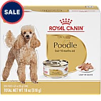 Royal Canin Breed Health Nutrition Poodle Adult Loaf in Sauce Dog Food