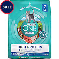 Purina ONE Plus High Protein Salmon and Ocean Whitefish Skin and Coat Health Formula Dry Cat Food