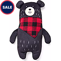 Petco Plush Bandana Bear Dog Toy