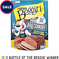Purina Beggin' Strips with Bacon and Beef Brisket Flavor Dog Treats