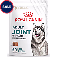 Royal Canin Joint Dog Supplement Soft Chews for Adult Dogs