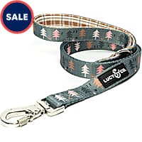 Lucy & Co. The Take a Hike Dog Leash