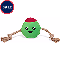 Petco Olive for Fun Plush Rope Dog Toy
