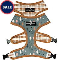 Lucy & Co. The Take a Hike Reversible Dog Harness